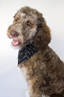 black/orange reversible bandana